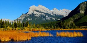 North Alberta Gold Buyer - Grand Prairie, Wood Buffalo